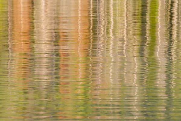 Idaho Fall reflections ripple on Redfish Lake